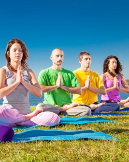 bigstock-Group-of-young-people-have-med-85000364-med-vert